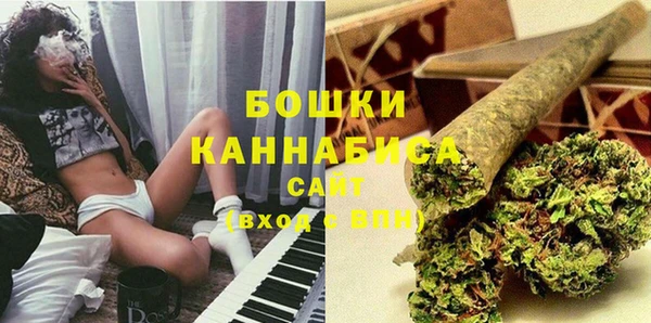ПСИЛОЦИБИНОВЫЕ ГРИБЫ Верея