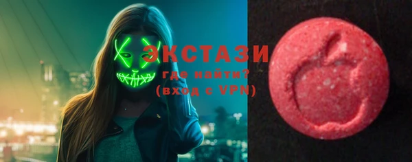 ПСИЛОЦИБИНОВЫЕ ГРИБЫ Верея