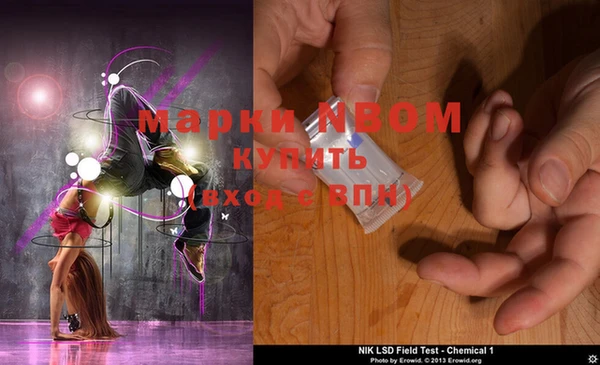 ПСИЛОЦИБИНОВЫЕ ГРИБЫ Верея
