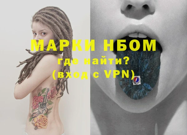 ПСИЛОЦИБИНОВЫЕ ГРИБЫ Верея