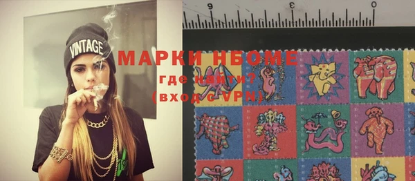 ПСИЛОЦИБИНОВЫЕ ГРИБЫ Верея